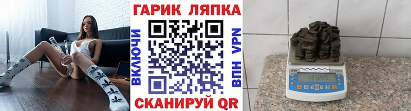 купить наркотики сайты  Североуральск  Гашиш индика сатива 