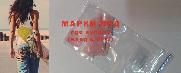 индика Балахна