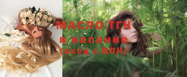 индика Балахна