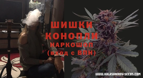 индика Балахна